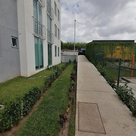Boho Chic, Apart- Condo Cerca De Sjo Intl Airport Ередия Екстериор снимка