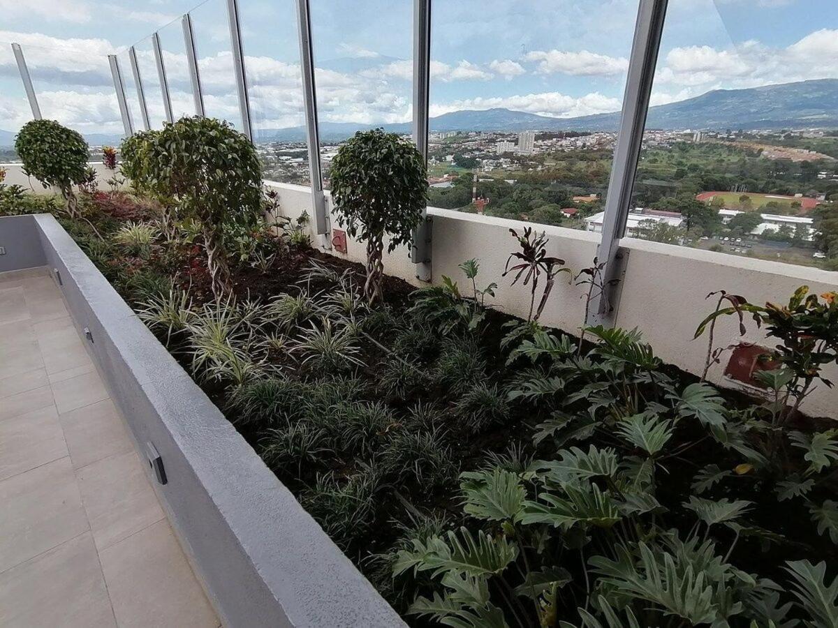 Boho Chic, Apart- Condo Cerca De Sjo Intl Airport Ередия Екстериор снимка
